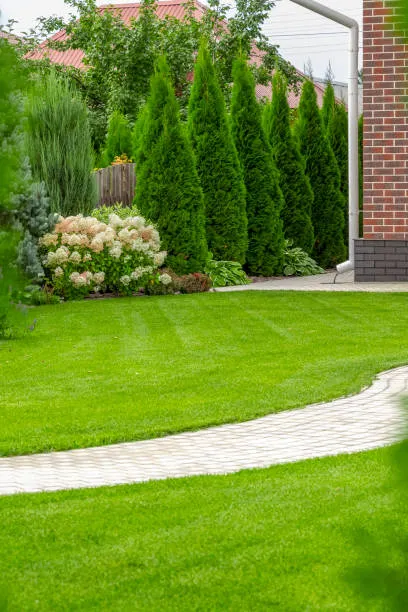 Manicured lawn